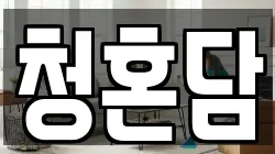 청혼담