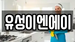 유성이엔에이