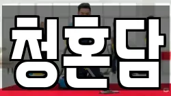 청혼담