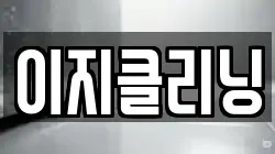 이지클리닝
