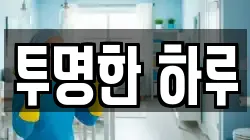 투명한 하루