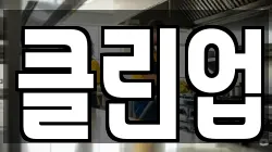 클린업