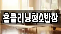 홈클리닝청소반장