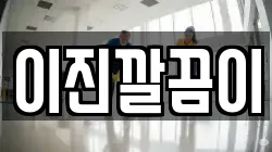 이진깔끔이