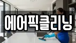 에어픽클리닝