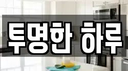 투명한 하루