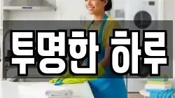 투명한 하루
