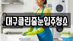 대구클린줄눈입주청소