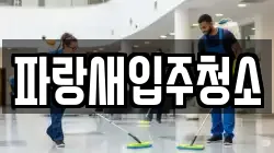 파랑새입주청소