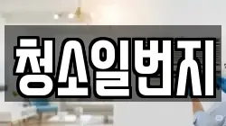 청소일번지