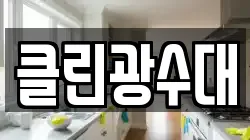 클린광수대