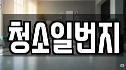 청소일번지