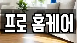 프로 홈케어