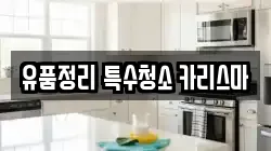유품정리 특수청소 카리스마