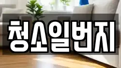 청소일번지
