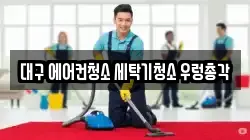 대구 에어컨청소 세탁기청소 우렁총각