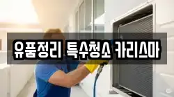 유품정리 특수청소 카리스마