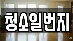 청소일번지
