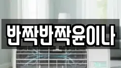 반짝반짝윤이나