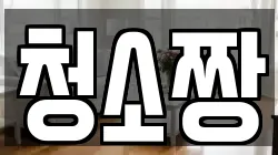 청소짱