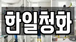 한일청화