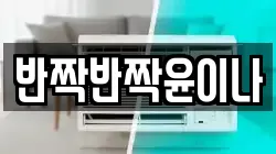 반짝반짝윤이나