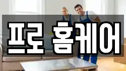 프로 홈케어