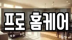 프로 홈케어