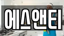 에스앤티