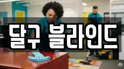 달구 블라인드