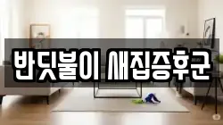 반딧불이 새집증후군