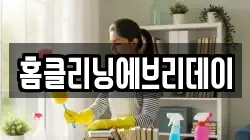 홈클리닝에브리데이