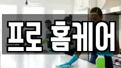 프로 홈케어