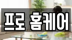 프로 홈케어