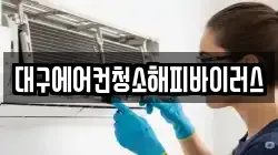 대구에어컨청소해피바이러스