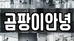 대구 군위군 군위읍 청소,입주청소,사무실청소,에어컨청소,특수청소,상가청소,거주청소,유품정리