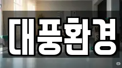 대풍환경