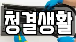청결생활