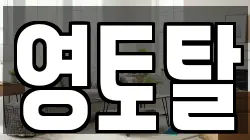 영토탈