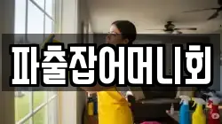 파출잡어머니회