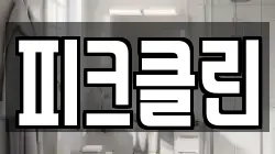 피크클린