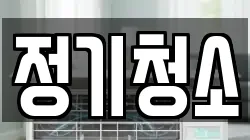 정기청소