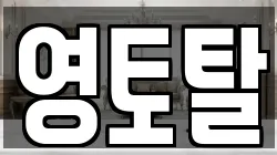 영토탈