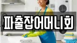 파출잡어머니회