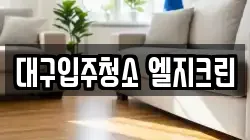 대구입주청소 엘지크린