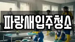 파랑새입주청소