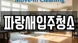 파랑새입주청소