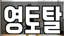 영토탈
