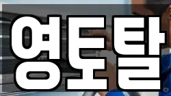 영토탈