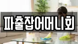 파출잡어머니회